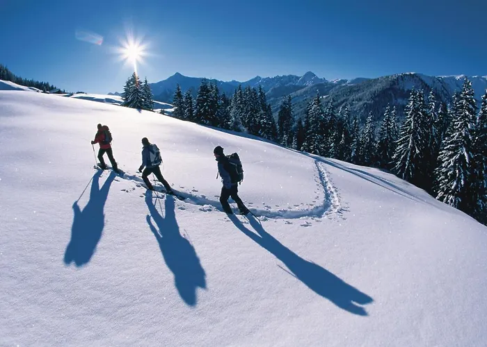 Otel Malerhaus Fügen